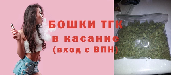 хмурый Пересвет
