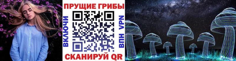 Псилоцибиновые грибы Magic Shrooms  купить наркотики цена  Бакал 